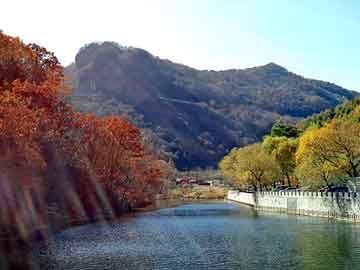 新澳天天开奖资料大全旅游团，绿化种子